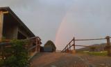 das schöne nach einem spontanen Regen - ein Regenbogen