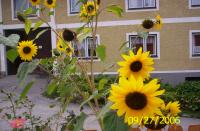 Unser Hof